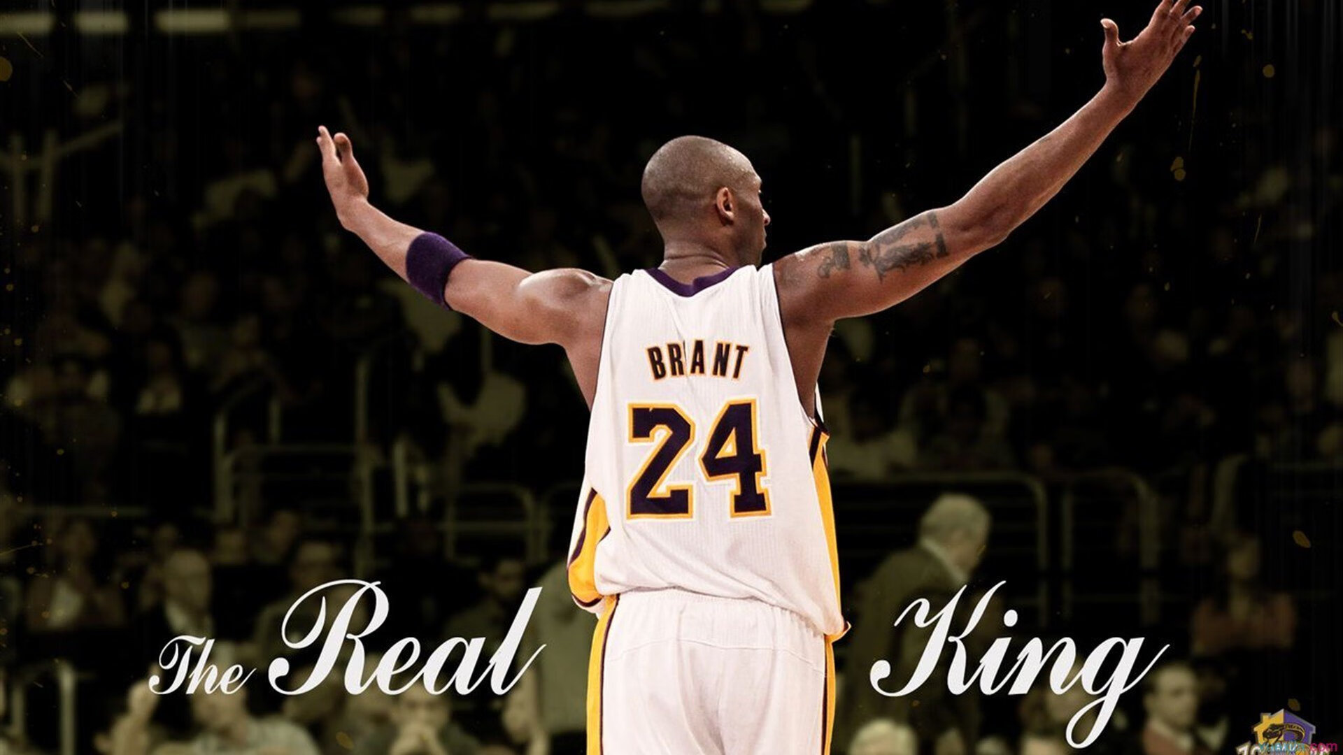 赛道与球场，F1揭幕战与新疆队的双重压制